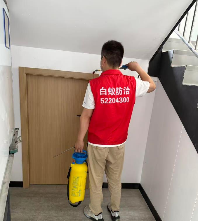 办公楼白蚁防治